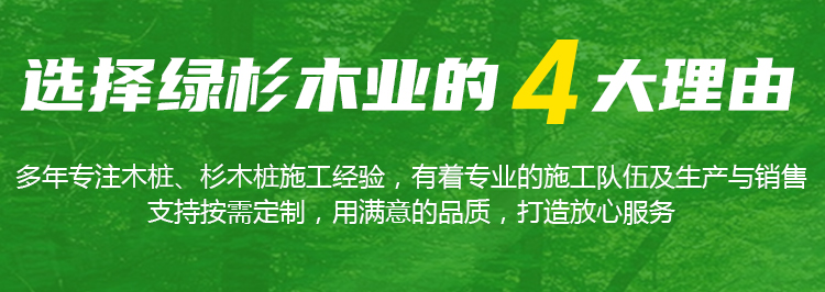 湖北杉木桩