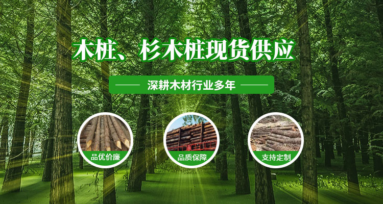 武汉杉木桩